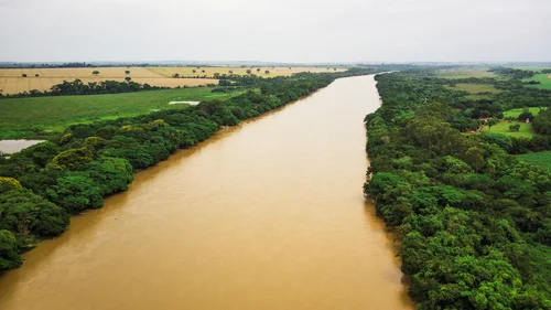 Imagem ilustrativa de Empresa de projeto de reflorestamento ambiental em sp