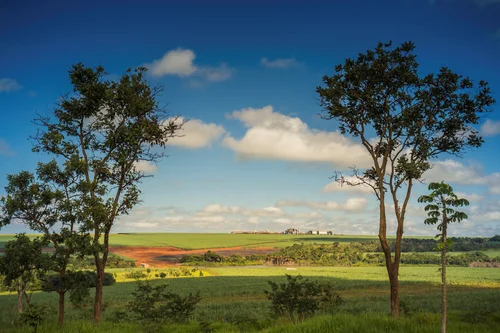 Imagem ilustrativa de Laudo de dano ambiental em sp