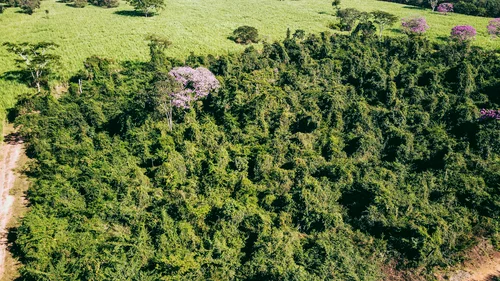 Imagem ilustrativa de Empresa de laudo de dano ambiental em sp