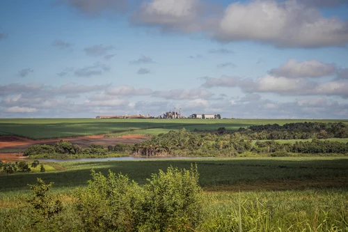 Imagem ilustrativa de Empresa de projeto de compensação ambiental em sp