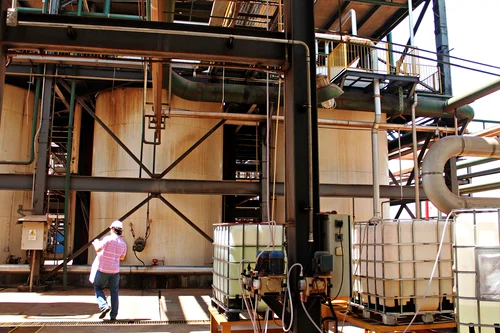 Imagem ilustrativa de Licenciamento florestal em são paulo