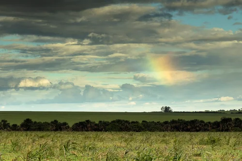 Imagem ilustrativa de Serviço de engenharia ambiental